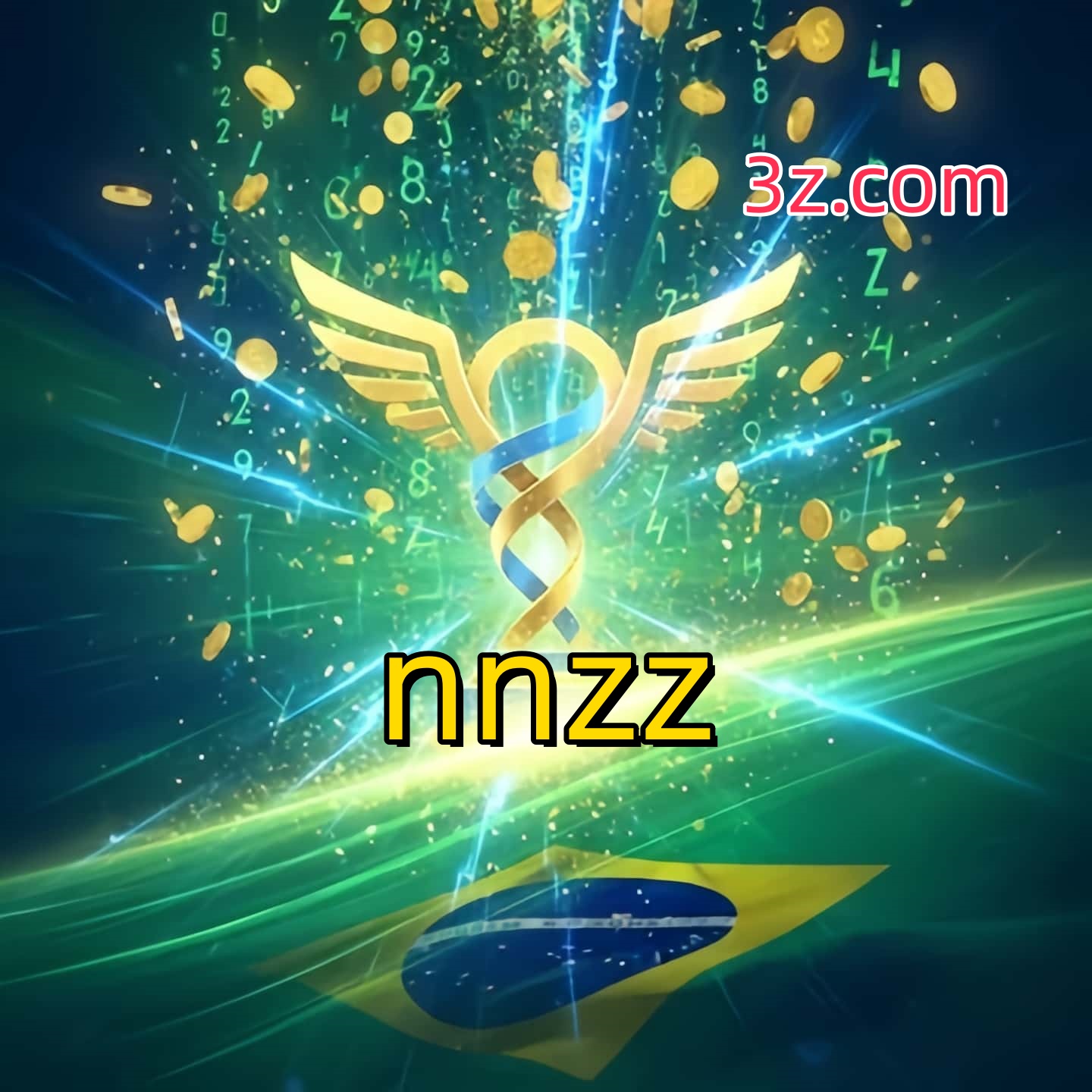 nnzz